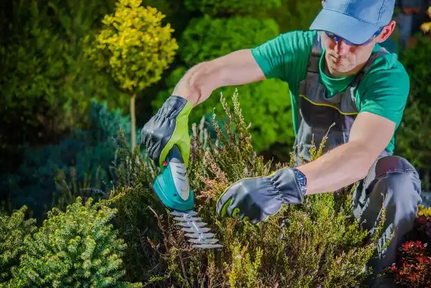 landscaping services Marcellus